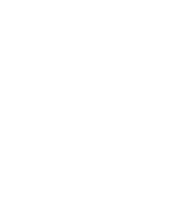 Website Development 🌐